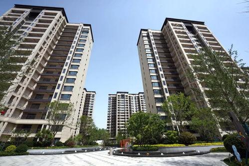 石家庄天苑爆料最新消息,揭秘神秘事件背后的真相