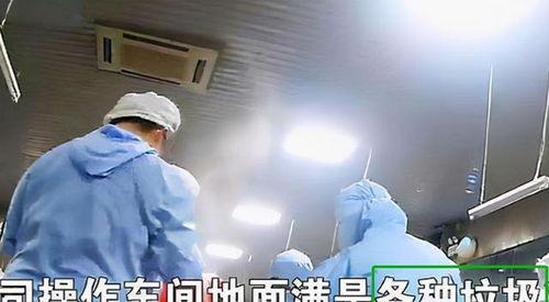 配餐爆料视频大全集,配餐爆料视频大全集深度解析